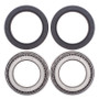 All Balls Racing 25-1432 - 00-07 Can-Am DS650 Wheel Bearing Kit Rear