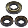 All Balls Racing 25-2003-5 - 00-06 Honda TRX350FE Differential Seal Only Kit Front