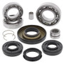 All Balls Racing 25-2006 - 02-03 Honda TRX400FW Fourtrax Foreman 4x4 Differential Bearing & Seal Kit Front