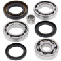 All Balls Racing 25-2008 - 85-87 Honda ATC250ES Differential Bearing & Seal Kit Rear