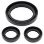 All Balls Racing 25-2028-5 - 04-06 Yamaha YFM350FA Bruin 4WD Differential Seal Only Kit Front