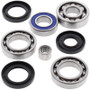 All Balls Racing 25-2043 - 2002 Arctic Cat 375 2x4 w/AT Differential Bearing & Seal Kit Rear
