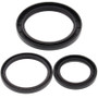 All Balls Racing 25-2033-5 - 99-04 Yamaha YFM250 Beartracker Differential Seal Only Kit Rear