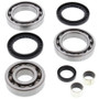 All Balls Racing 25-2056 - 00-02 Polaris Magnum 325 2x4 Differential Bearing & Seal Kit Rear All Balls Racing 25-2056 - 00-02 Polaris Magnum 325 2x4 Differential Bearing & Seal Kit Rear
