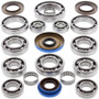All Balls Racing 25-2085 - 14-16 Polaris ACE 325 Transaxle Bearing & Seal Kit All Balls Racing 25-2085 - 14-16 Polaris ACE 325 Transaxle Bearing & Seal Kit