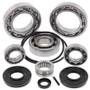 All Balls Racing 25-2095 - 08-13 Kawasaki Teryx 750 4x4 Differential Bearing & Seal Kit Rear