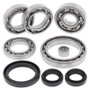 All Balls Racing 25-2104 - 19-20 CF-Moto U Force 500 Differential Bearing & Seal Kit Front