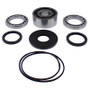 All Balls Racing 25-2116 - 2018 Polaris RZR 4 900 Differential Bearing & Seal Kit Front