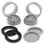 All Balls Racing 28-1056 - 06-09 Arctic Cat 250 2x4 Swing Arm Bearing Kit