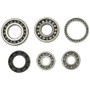Hot Rods HR00060 - 01-08 Honda TRX 250 EX 250cc Transmission Bearing Kit