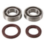 Hot Rods K092 - 15-17 KTM 250 SX-F Factory 250cc Main Bearing & Seal Kit