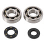 Hot Rods K005 - 87-01 Kawasaki KX 250 250cc Main Bearing & Seal Kit