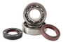 Hot Rods K017 - 88-06 Yamaha YFS 200 Blaster 200cc Main Bearing & Seal Kit