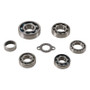 Hot Rods TBK0056 - 06-09 Suzuki LT-R 450 450cc Transmission Bearing Kit