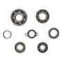 Hot Rods TBK0056 - 06-09 Suzuki LT-R 450 450cc Transmission Bearing Kit
