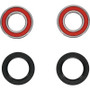 Pivot Works 25-1273-P - BMW/Gas-Gas/Husaberg/Husqvarna/Kawasaki/KTM/Suzuki Wheel Bearing Kit Premium Bearings