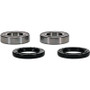 Pivot Works 25-1079-P - Gas-Gas, Kawasaki, Suzuki Wheel Bearing Kit Premium Bearings