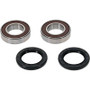 Pivot Works 25-1079-P - Gas-Gas, Kawasaki, Suzuki Wheel Bearing Kit Premium Bearings