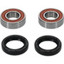Pivot Works 25-1063-P - Eton, Honda, KTM Wheel Bearing Kit Premium Bearings