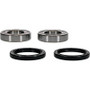 Pivot Works 25-1032-P - Honda Wheel Bearing Kit Premium Bearings