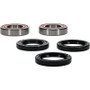 Pivot Works 25-1499-P - CF-Moto, Ducati, Polaris Wheel Bearing Kit Premium Bearings