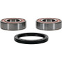 Pivot Works 25-1417-P - Gas-Gas, Husqvarna Wheel Bearing Kit Premium Bearings