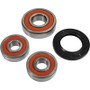 Pivot Works 25-1349-P - Kawasaki Wheel Bearing Kit Premium Bearings