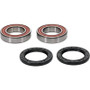 Pivot Works 25-1321-P - Polaris Wheel Bearing Kit Premium Bearings