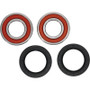 Pivot Works 25-1697-P - CF-Moto Wheel Bearing Kit Premium Bearings