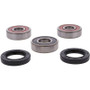 Pivot Works 25-1755-P - Honda Wheel Bearing Kit Premium Bearings