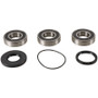 Pivot Works PWRWK-P12-000 - 05-23 Polaris Phoenix 200 PW Rear Wheel Bearing Kit