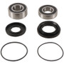 Pivot Works PWRWK-S24-020 - 02-14 Suzuki LT-F250 Ozark PW Rear Wheel Bearing Kit