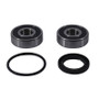 Pivot Works PWRWS-H25-000 - 1983 Honda CX650T Turbo PW Rear Wheel Bearing Kit