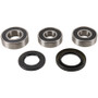 Pivot Works PWRWS-K05-000 - 95-99 Cagiva RIVER 500 PW Rear Wheel Bearing Kit