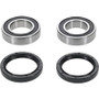 Pivot Works PWRWK-Y77-000 - Eton IXL-40 Rascal PW Rear Wheel Bearing Kit