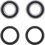Pivot Works PWRWK-Y77-000 - Eton IXL-40 Rascal PW Rear Wheel Bearing Kit