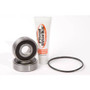 Pivot Works PWRWS-H66-000 - 78-79 Honda CX500 PW Rear Wheel Bearing Kit