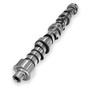 PPE 118026010 - 2001-2016 GM 6.6L Duramax Stage 1 Performance Camshaft Standard Fire  Performance