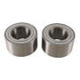 Pivot Works PWTAK-C01-000 - 04-05 Can-Am Outlander 330 PW Rear Trailing Arm Bearing Kit