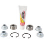 Pivot Works PWTAK-P01-000 - 2011 Polaris RZR XP 900 PW Rear Trailing Arm Bearing Kit