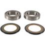 Pivot Works PWSSK-D01-000 - 21-22 Aprilia RS 660 PW Steering Stem Bearing Kit