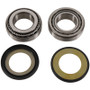 Pivot Works PWSSK-S13-000 - 98-01 TM EN 125 PW Steering Stem Bearing Kit