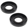 Vertex Pistons 55109 - Vertex Gaskets 99-08 Arctic Cat Panther 370 Oil Seal Kit
