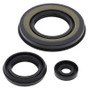 Vertex Pistons 55198 - Vertex Gaskets 00-02 Yamaha Mountain Max 600 Oil Seal Kit