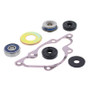 Vertex Pistons 721212A - Vertex Gaskets 97-98 Ski-Doo Formula 500/DLX LC Water Pump Rebuild Kit