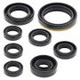 Vertex Pistons 822175 - Vertex Gaskets 01-13 Yamaha WR250F Oil Seal Kit
