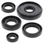 Vertex Pistons 822196 - Vertex Gaskets 90-09 Yamaha PW50 Oil Seal Kit