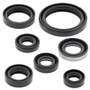Vertex Pistons 822193 - Vertex Gaskets 2003 Kawasaki KLX400R Oil Seal Kit