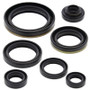 Vertex Pistons 822127 - Vertex Gaskets 96-02 Suzuki RM250 Oil Seal Kit