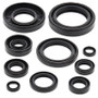 Vertex Pistons 822172 - Vertex Gaskets 01-04 Yamaha YZ125 Oil Seal Kit